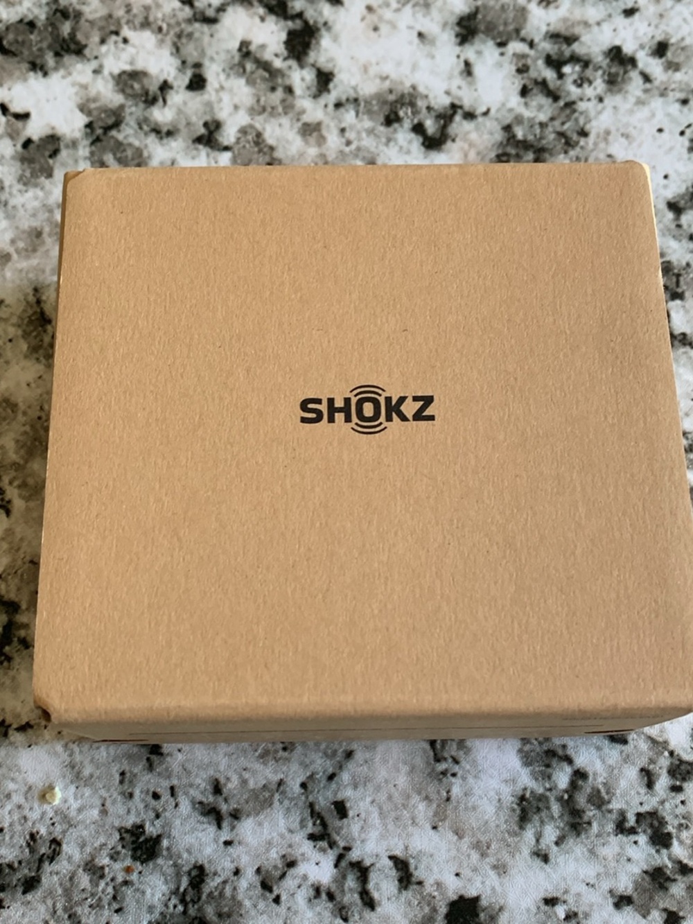 Shokz Openfit Headphones